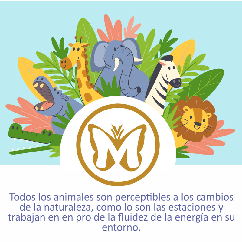 animales en primavera